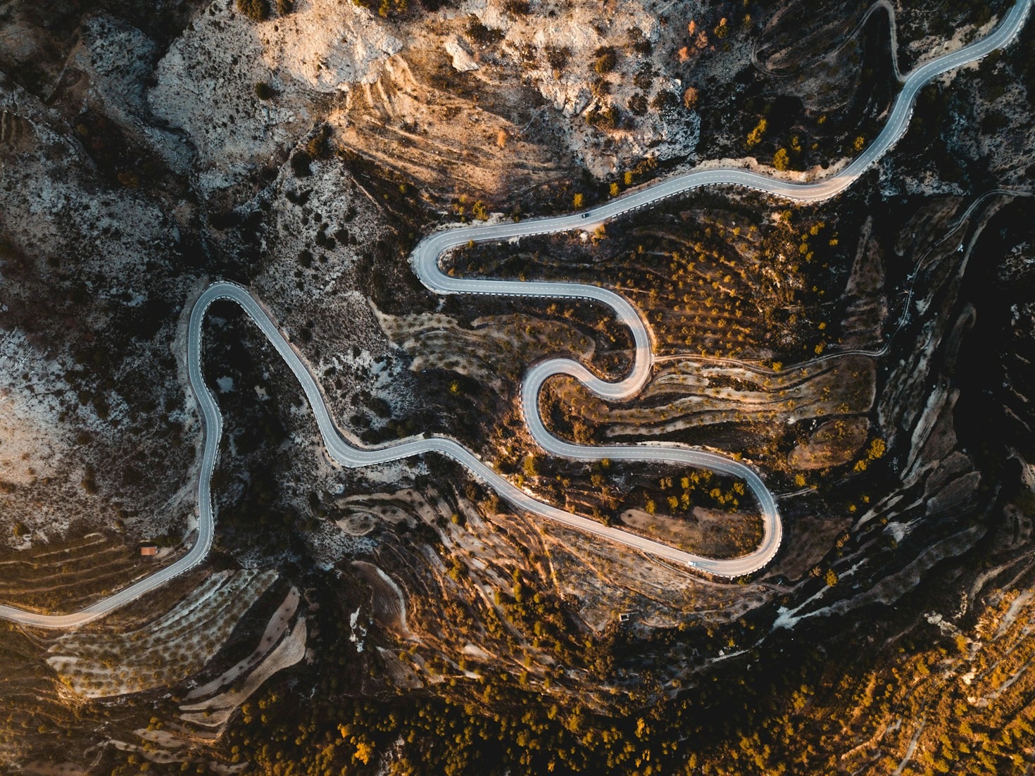 The Journey of an 18-Year-Old Photographer